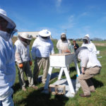 Two Bee Schools coming in January